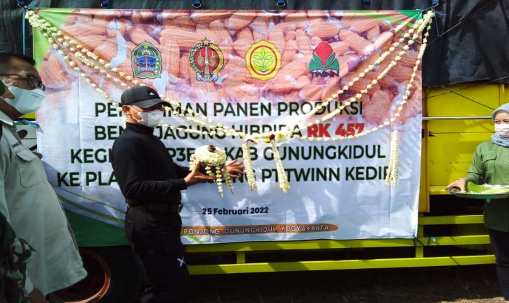 Foto : Pengiriman Perdana Benih Jagung Hibrida Secara Simbolis ditandai Dengan Pemecahan Kendi oleh Bupati.