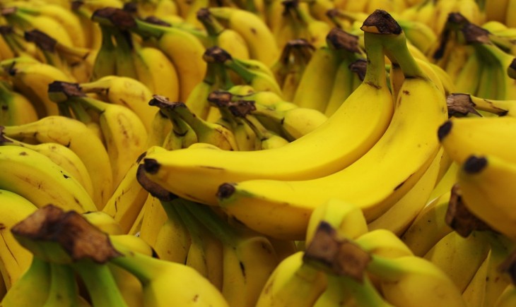 Mandailing Natal bangun sentra budidaya pisang modern. (Foto : Pixabay)