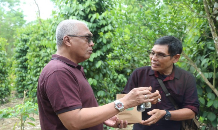 Foto : Produksi Lada di Kabupaten Belitung Semakin Pesat.