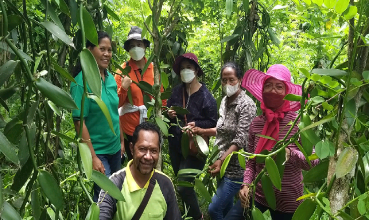 Foto : Kebun Vanilli.