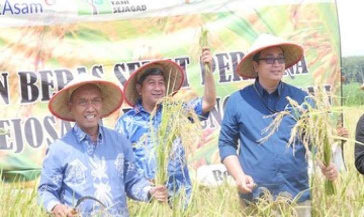 PTBA panen beras sehat (cnbcindonesia.com)