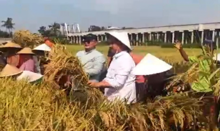 Direktur Jenderal Tanaman Pangan Kementerian Pertanian RI, Suwandi melakukan kunjungan kerja ke Kecamatan Wates Kabupaten Kulonprogo. (Foto: Dok. Kementan)