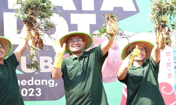 Wakil Bupati Sumedang, H. Erwan Setiawan panen raya Depot Ubi Cilembu di Sentra perkebunan Ubi Cilembu, Dusun Cilembu, Kecamatan Pamulihan (Diskominfo Pemkab Sumedang)
