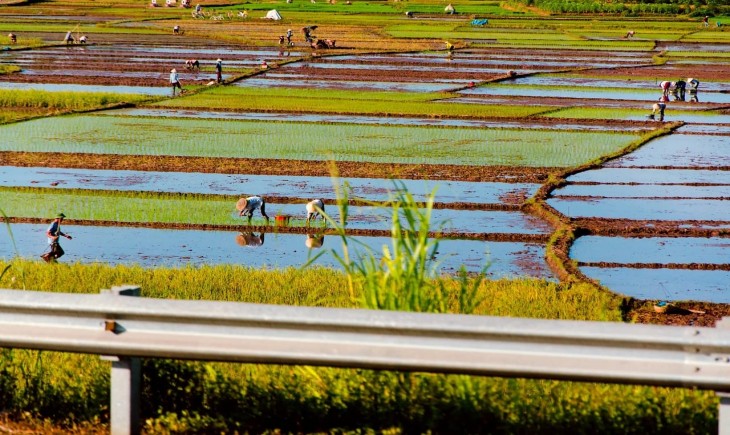 Petani di Desa Pong Leko, NTT, mengalami kekhawatiran akibat cuaca ekstrem (Istimewa)