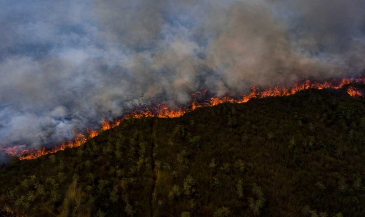 Upaya Pemadaman Kebakaran Hutan di Muara Enim, Helikopter dan Hujan Jadi Andalan (FOTO : antara)
