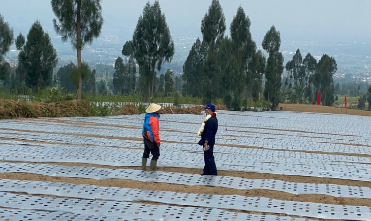 Foto : Balitbangtan Gelar Ekspose Teknologi Mekanisasi Pertanian Modern Mendukung Budidaya Kentang di Kecamatan Batur, Banjarnegara.