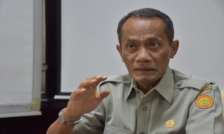 Foto : Kepala Badan Ketahanan Pangan Kementerian Pertanian Agung Hendriadi.