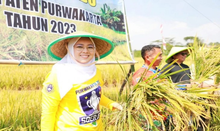 Bupati Purwakarta Anne Ratna Mustika saat panen raya di pertengahan 2023. (Diskominfo Purwakarta)