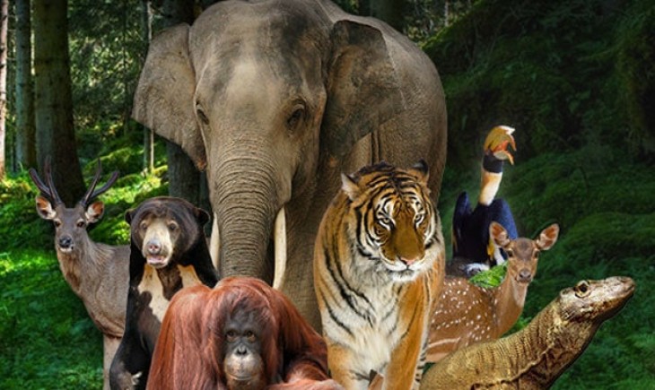 Ragunan Hadirkan Feeding Time dan Keeper Talk Selama Libur Nataru 2024/2025. (Foto : Ragunan Zoo)