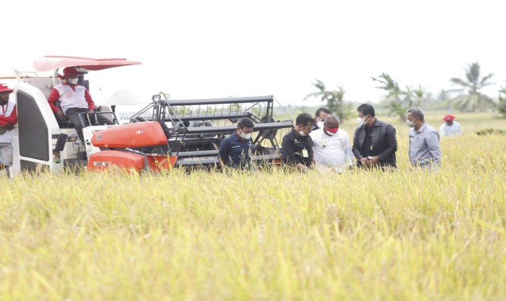 Foto : Mentan Meninjau Panen Raya Yang Dilakukan Petani Di Kabupaten Merauke.