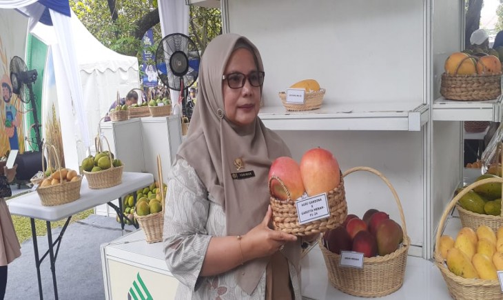 Mangga raksasa yang dipamerkan dalam Gebyar Agrostandar di Bogor. (Nicko/PanganNews.id)
