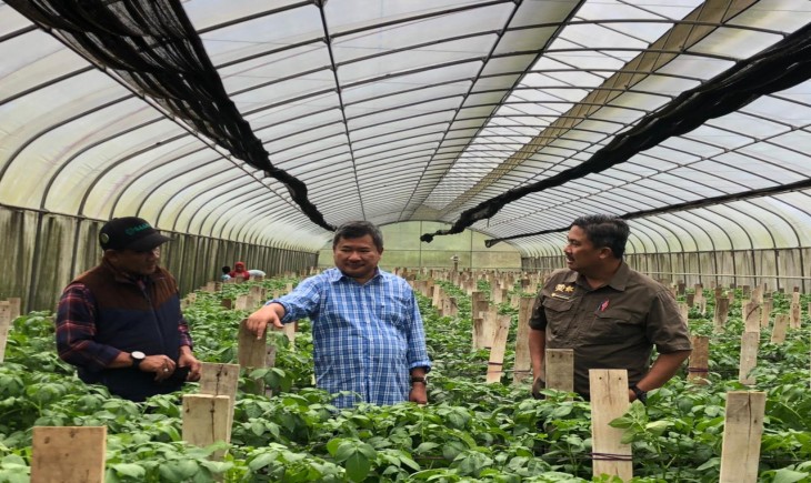 Foto : Kementan Terjun Langsung Memastikan Ketersediaan Bawang Merah dan Cabai serta Kentang di Lokasi Food Estate Kabupaten Garut.
