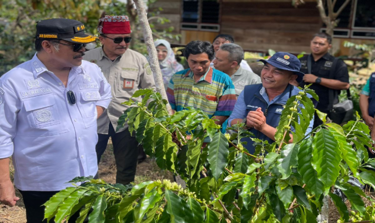 Foto : Irjen Kementan), Jan Samuel Maringka meninjau pengembangan kopi kualitas dunia di Kelurahan Salubarani, Kecamatan Gandangbatu Sillanan, Kabupaten Tana Toraja, Sulsel.