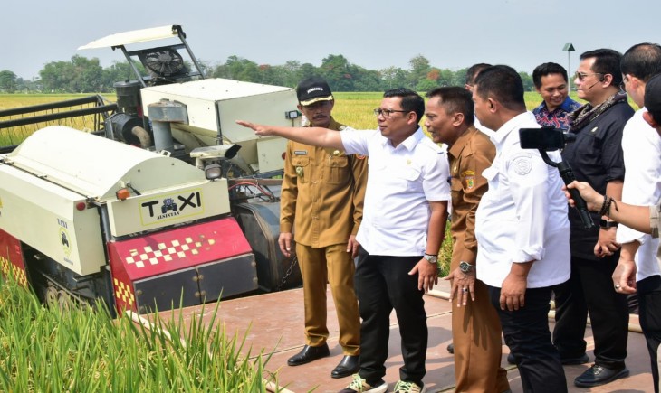 Panen raya padi di Desa Karangwuni, Kecamatan Polokarto, Sukoharjo, Selasa (24/10/2023). (Dok. Kementan)