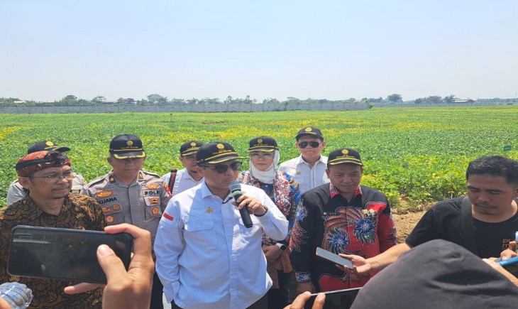 Wamentan, Harvick Hasnul Qolbi menghadiri panen raya padi sekaligus meninjau tanaman kedelai di lahan milik Balai Besar Peramalan Organisme Pengganggu Tumbuhan (BBPOPT) di Kecamatan Jatisari.