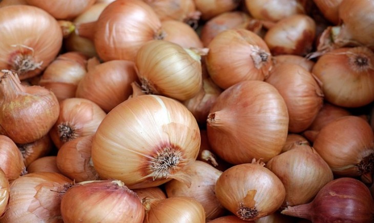 Indonesia dan Selandia Baru perkuat kerja sama karantina pre-border untuk impor bawang bombai. (Foto : Pixabay)