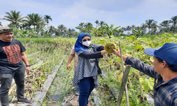 Foto : Petani Milenial Kabupaten Tasikmalaya.