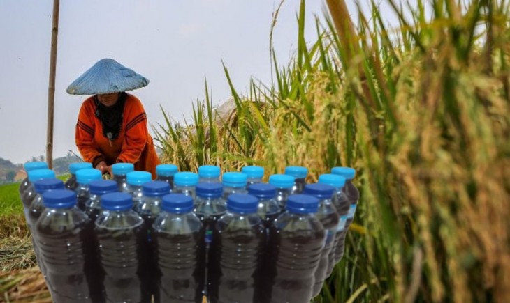 Biosaka terdiri dari bahan elisitor yang berasal dari rumput-rumputan tertentu yang diremas-remas secara memutar.Biosaka terdiri dari bahan elisitor yang berasal dari rumput-rumputan tertentu yang diremas-remas secara memutar. (banyuurip.com)