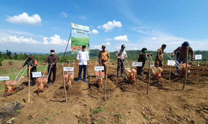 Foto : Gerakan Tanam Kedelai.