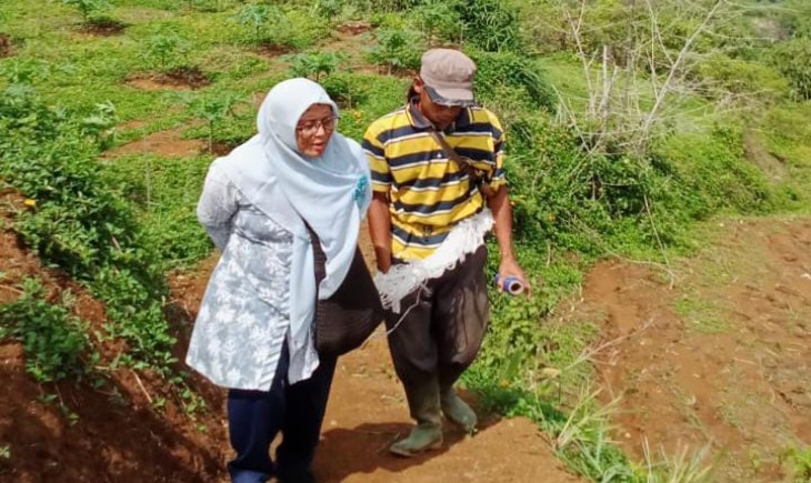 Kristina Indah melihat pertanaman yang sedang dilakukan oleh kelompok tani dan melakukan dialog langsung. (Nicko/PanganNews.id)