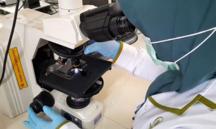 Foto : Untuk Kedua Kalinya Karantina Pertanian Berhasi Meraih Pengakuan Atas Pengujian Deteksi Virus Pada Benih Tomat Dengan Nilai A Atau Sesuai dari ISTA.