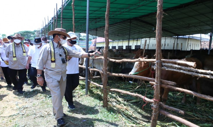 Foto : Mentan Dorong Provinsi Lampung Menjadi Wilayah Pertama yang Mampu Menghasilkan 300.000 Bibit Sapi.
