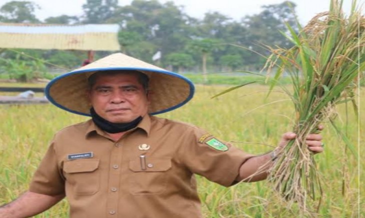 Kepala Dinas Pangan Tanaman Pangan Hortikultura Provinsi Riau, Syahfalefi. (Foto: Dok. Kementan)