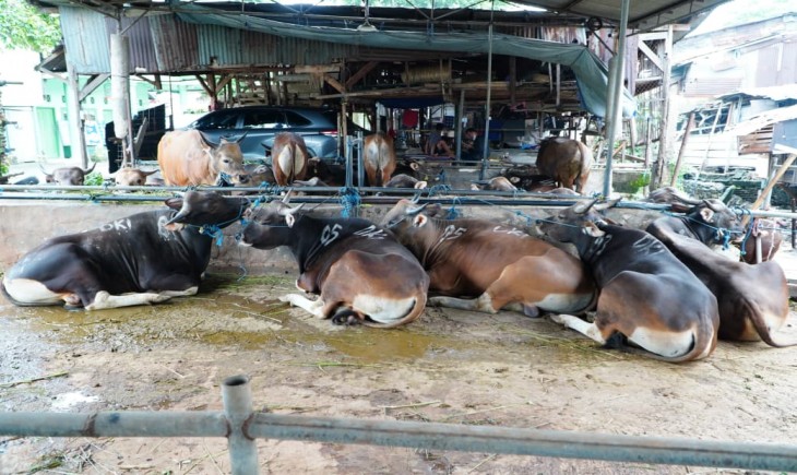 APNI: Keberatan Peternak yang Menolak Penugasan BUMN Tidak Berbasiskan Data. (Foto: dok. Kementan)