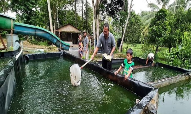 Mustahik BAZNAS di Kendal sukses jadi peternak lele. (jawapos)
