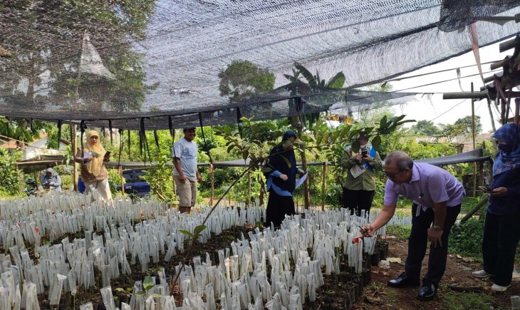 Foto : Ditjen Hortikultura juga Kerja sama dengan Produsen Benih Kelompok Tani Dewasa (KTD) Mustika Tani Bogor.