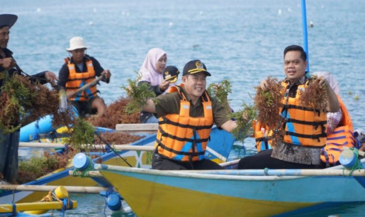 Panen raya rumput laut di Pantai Bondo, Kecamatan Bangsri, Kabupaten Jepara, Kamis (26/6/2025). (Foto : jepara.go.id)
