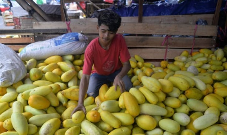 Penjual buah timun suri (Istimewa)
