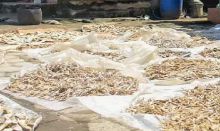 Meningkatnya produksi dan harga jual ikan asin, para nelayan berharap dapat meningkatkan kesejahteraan di tengah tantangan musim kemarau.