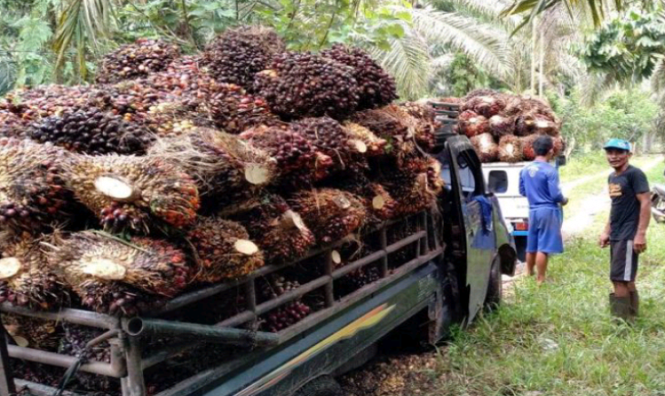 Foto : Pemerintah Berikan Bantuan Paket Sarana dan Prasarana (Sarpras).