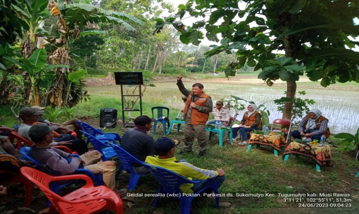 Musi Rawas serta UPTD Balai Perlindungan Tanaman Pangan dan Hortikultura (BPTPH) Sumatera Selatan pada hari Sabtu (24/6) melakukan aksi gerakan pengendalian (Gerdal). (Dok. Kementan)