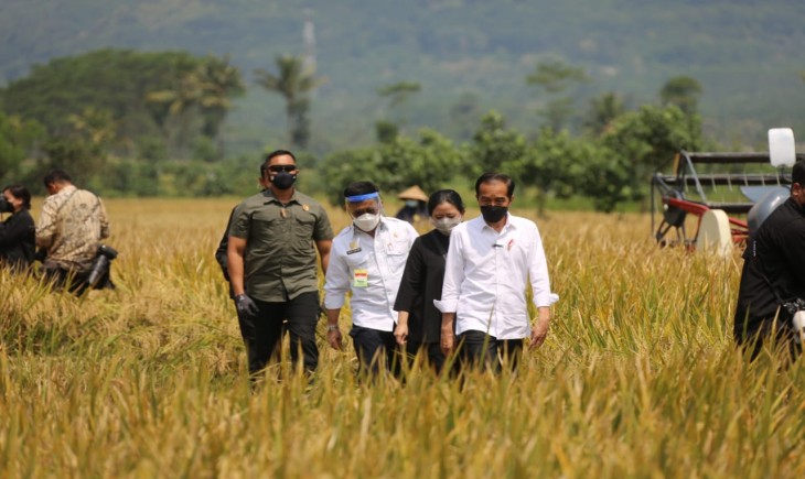 Foto : Stok Beras Nasional Aman.