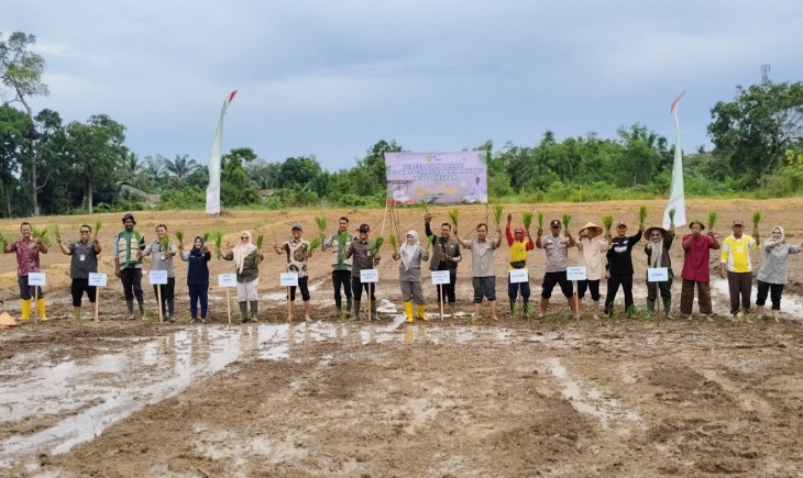 Foto: Jambi Tancap Gas! Polbangtan Kementan Kawal Gerakan Tanam Serentak CSR di Batanghari dan Sarolangun.