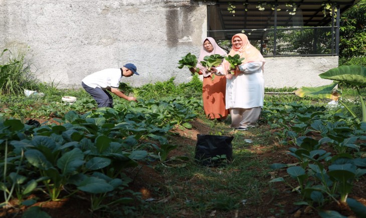 Anggota DPRD Kota Bogor Endah Purwanti berkunjung sekaligus memanen hasil pertanian organik di KTD Baraya Bihari wilayah Tanah Baru RW 10. (PanganNews.id)
