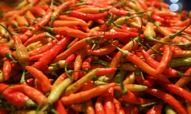 Harga cabai rawit makin pedas, tembus Rp41.950 per Kg.