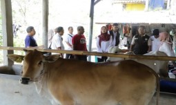 world-news