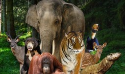 world-news