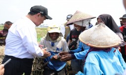 world-news