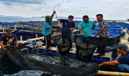 world-news