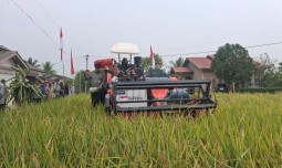 world-news