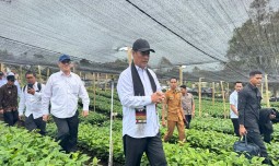 world-news