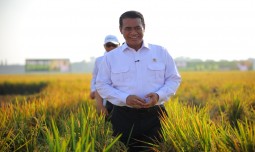 world-news