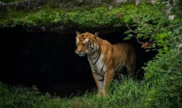 world-news