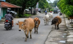 world-news