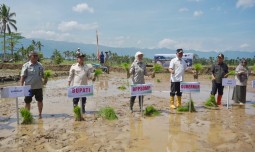 world-news