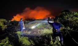 world-news